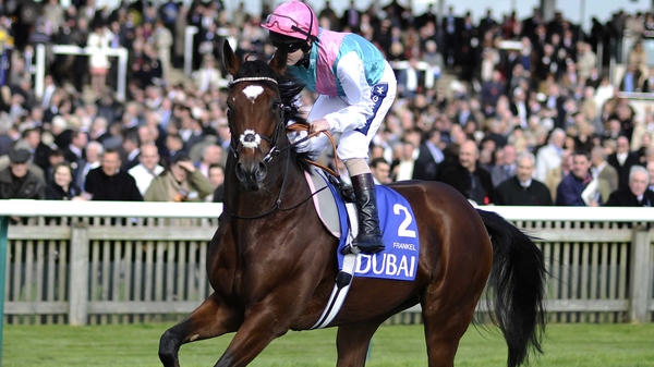Frankel - Looking set for the Qipco 2000 Guineas