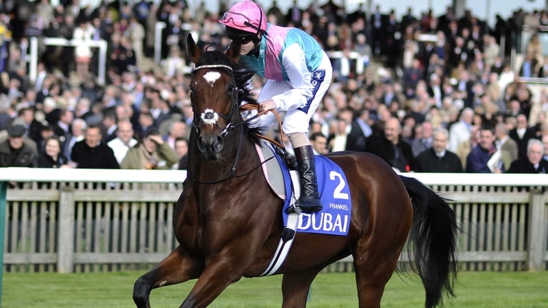 Frankel - Looking set for the Qipco 2000 Guineas