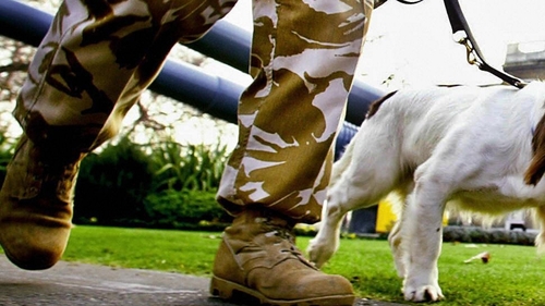 Trained bomb detection dogs a valuable asset in Afghanistan