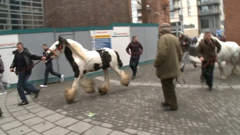 Smithfield - Three injured at horse fair