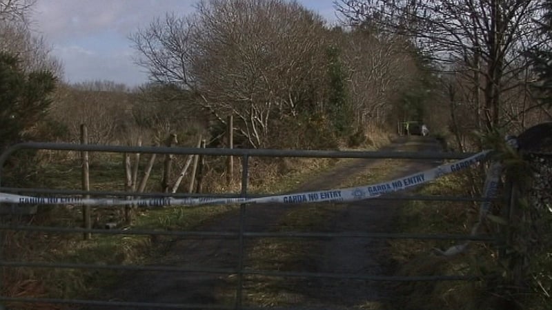 Celyn Eadon stabbed his mother at their home at Derrycrieve in 2011