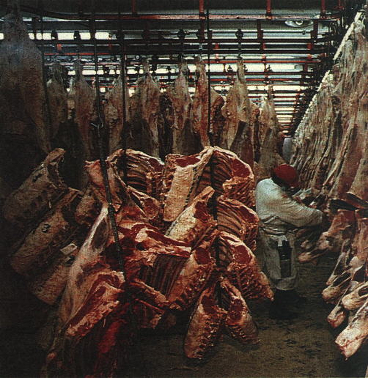 Meat Factory Ear Worms