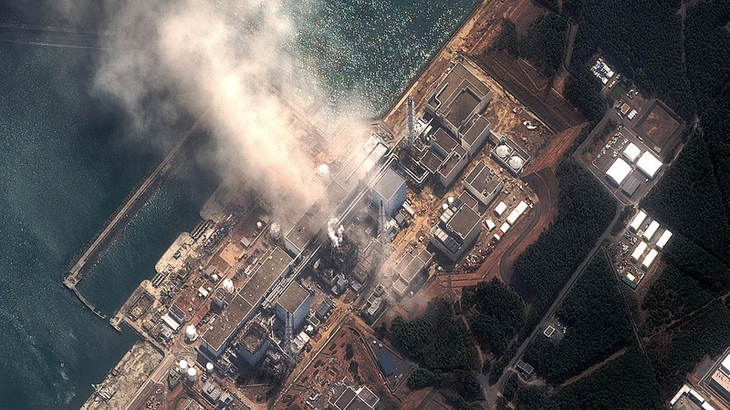 One senior minister fretted that meltdowns at Fukushima might spark crises at reactors all along the Japanese coast