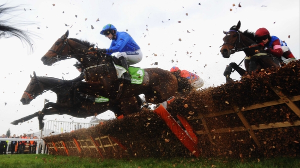 Hurricane Fly will have no more than 11 rivals in his bid to retain his Champion Hurdle crown