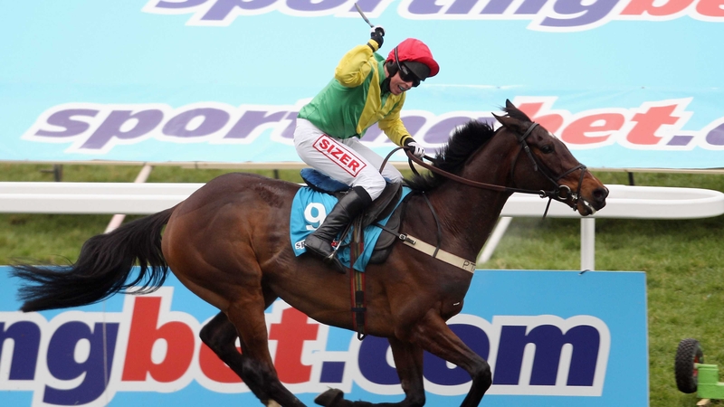 Sizing Europe winning the 2011 Queen Mother Champion Chase