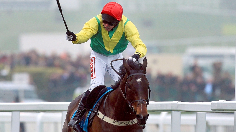 Sizing Europe is looking good for the Queen Mother Champion Chase according to his trainer