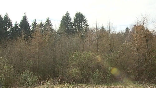 2,000 licences have been referred to ecologists for an 'appropriate assessment'