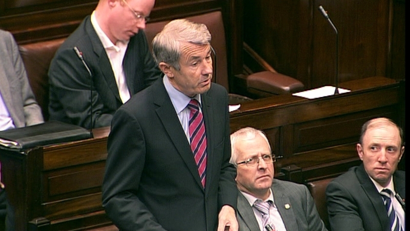Michael Lowry - Dáil debate on Moriarty Report