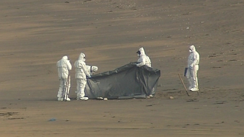 Clare - Discovery treated as suspicious