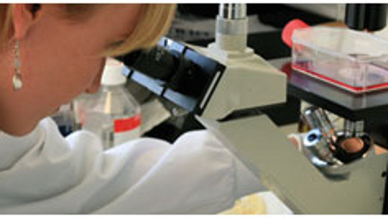 12% of all cancers diagnosed between 2009-2011 were in people under 40