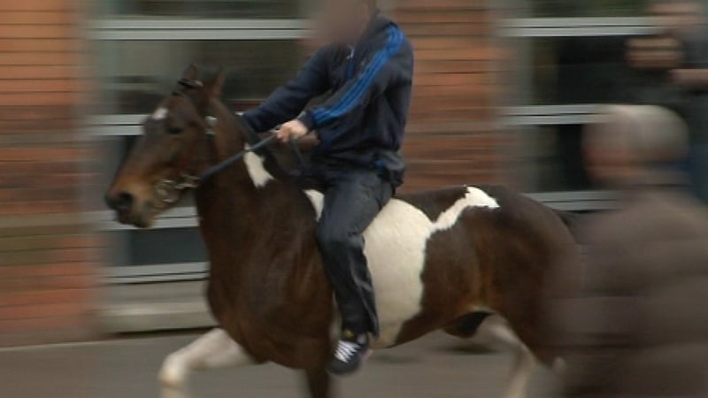 Galloping horse - Was stopped by gardaí