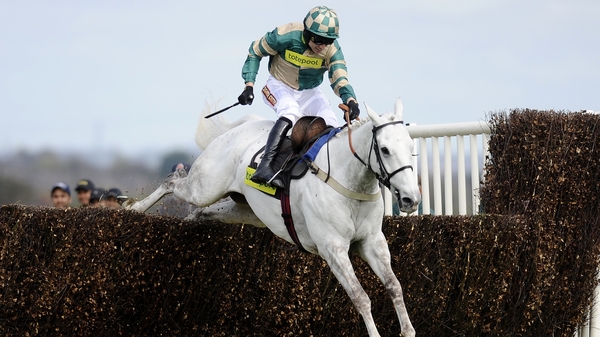 Nacarat - Impressed when winning the Charlie Hall last year