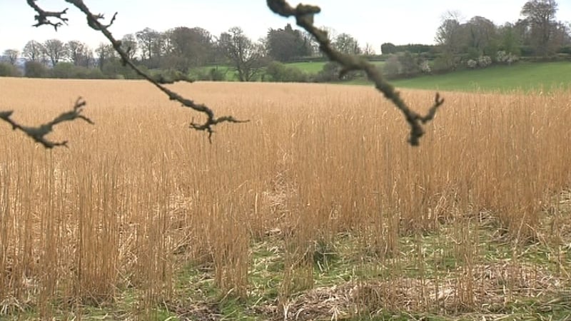 The rapid speed of the change means that many farmers are going to have to act quickly to adapt