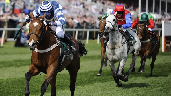 Barry Geraghty has ridden Oscar Whisky in all 19 of his lifetime starts