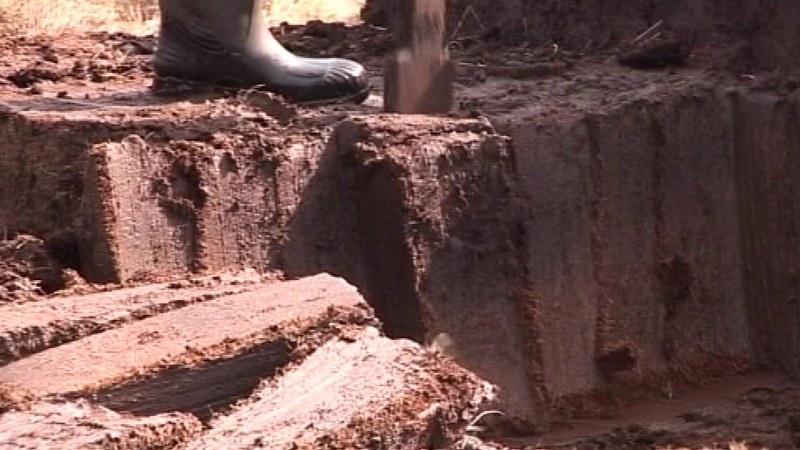 There are 53 special area of conservation bogs in Ireland