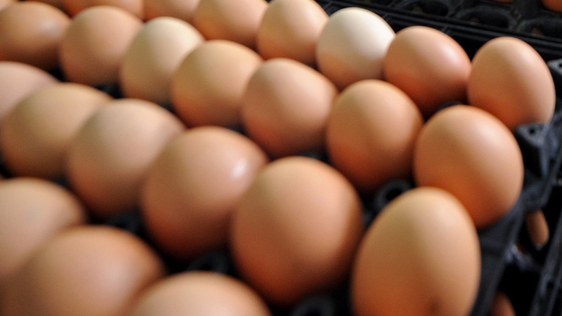 Irish Egg Association warn of price increase