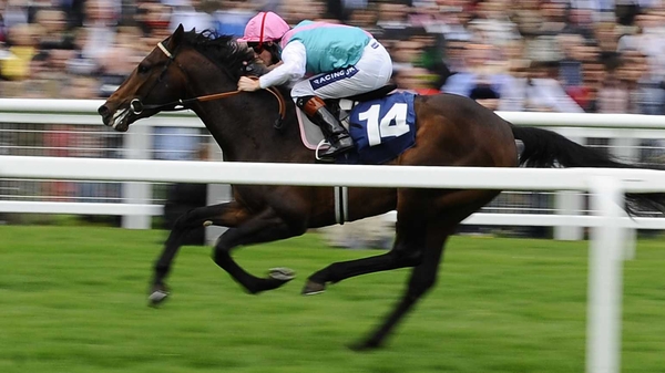 World Domination - Will go at the totesport Dante Stakes