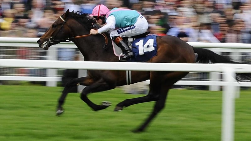 World Domination - Will go at the totesport Dante Stakes