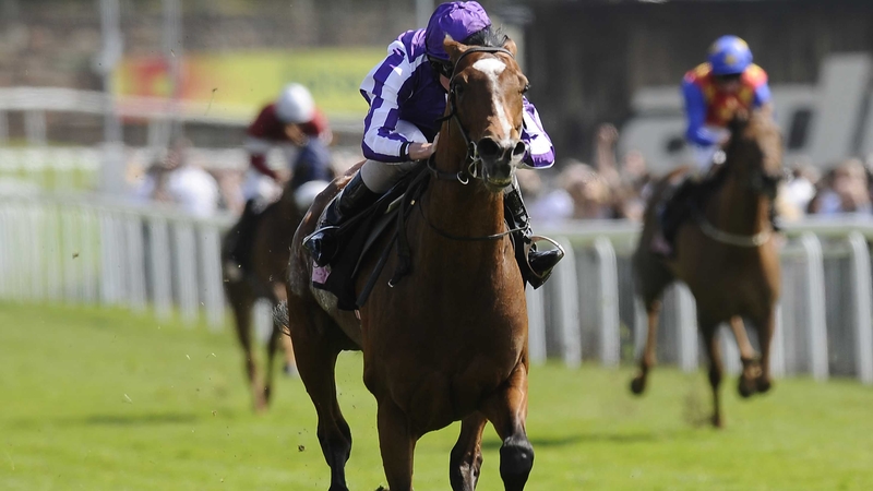 St Nicholas Abbey won nine of his 21 starts