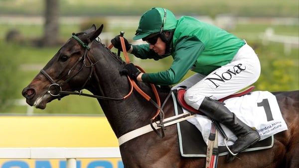 Grandouet was bidding to become only the second horse in the last 27 years to win the Champion Hurdle as a five-year-old