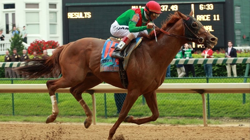 Animal Kingdom - Winner of the 137th Kentucky Derby