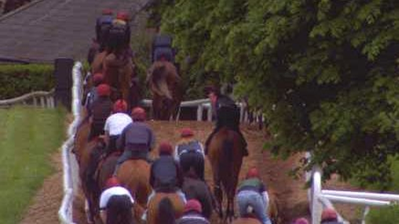 Ballydoyle - Legal challenge launched to JLC system