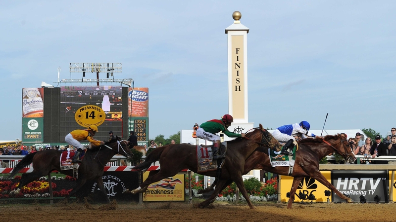 Jockey Jesus Castanon got the fractions just right on the front-running Shackleford