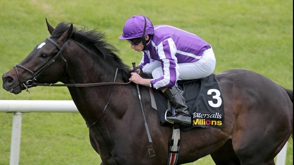 So You Think - the Tattersalls Gold Cup winner delighted connections in a pre-Royal Ascot workout