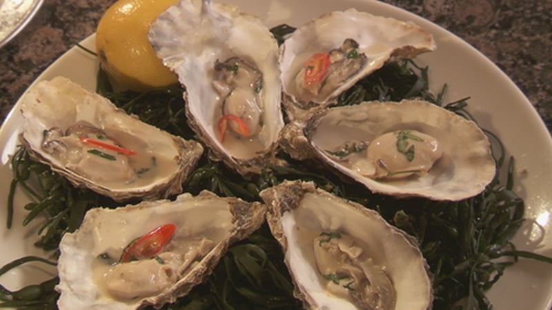 Martin Shanahan's Hot Oysters in Coconut Milk
