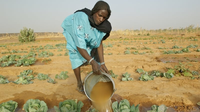 Gao - Rebellion, inter-community conflicts and years of drought have seriously affected the living conditions of communities