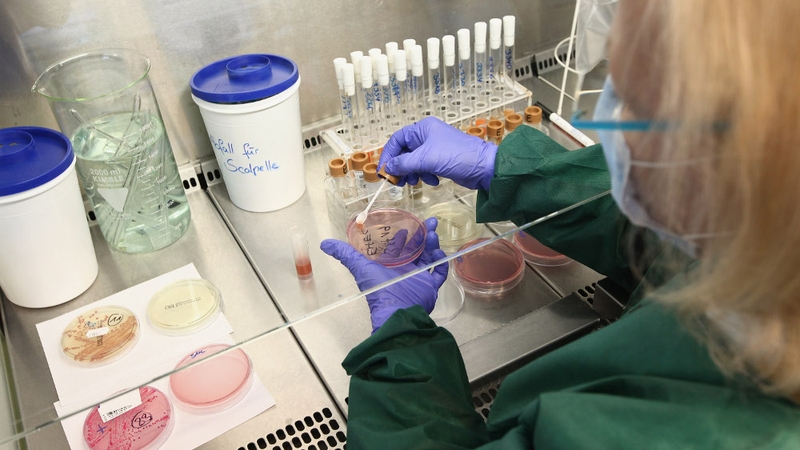 E coli - Scientists trying to learn more about the bacteria strain