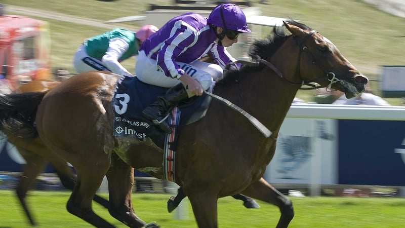 St Nicholas Abbey was unbeaten in 2013