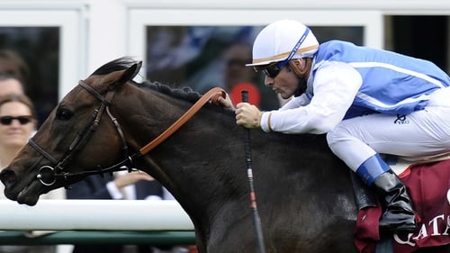 Goldikova - won the Group 1 Prix Rothschild at Deauville for the fourth successive year