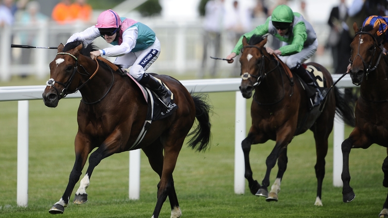 Frankel faces his elders for the first time in what promises to be one of the races of the summer