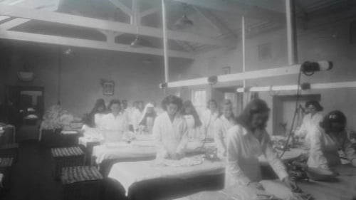 Magdalene laundries - Govt promises to 'fully establish the true facts'