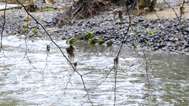 EPA - Inspection teams tested rivers &amp; lakes across the country