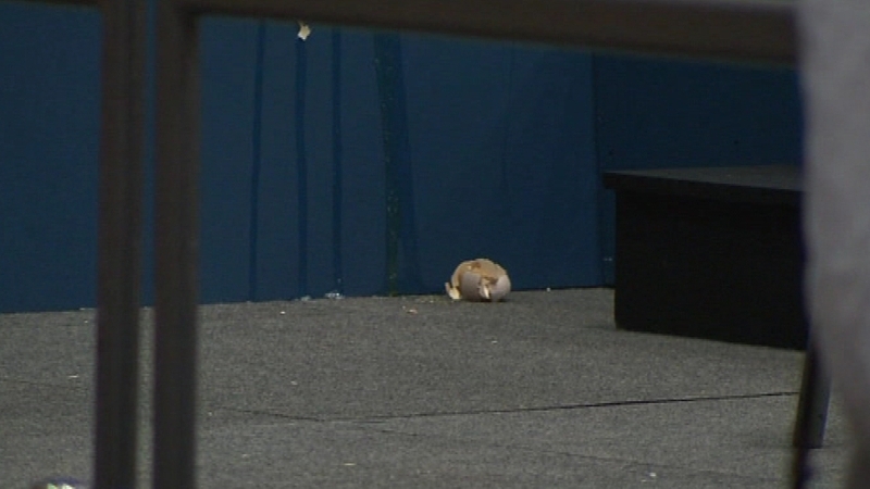 Egg - Missed the executives