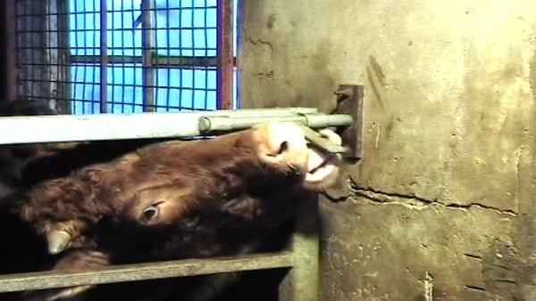 Armagh - Mystery revealed