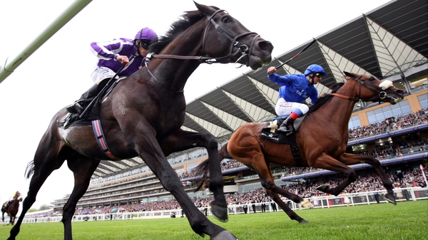 So You Think - Suffered a narrow defeat to Rewilding at Royal Ascot