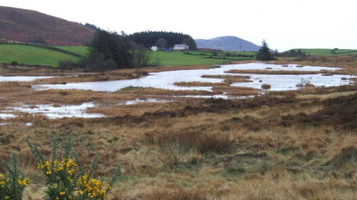 Day on the Bog