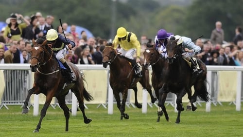Nathaniel (gold cap) - Set to take on Rewilding, St Nicholas Abbey and Rewilding at Ascot