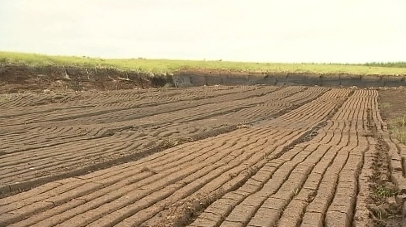 Turfcutters staged a demonstration in Galway