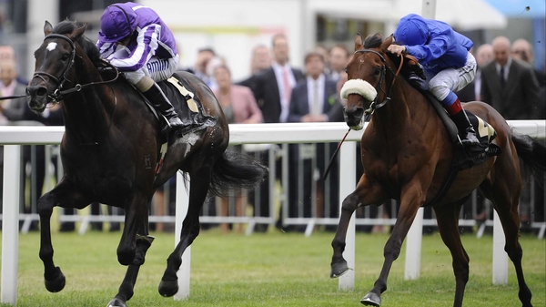 So You Think (left) - looks set to take his place in the Coral Eclipse early next month
