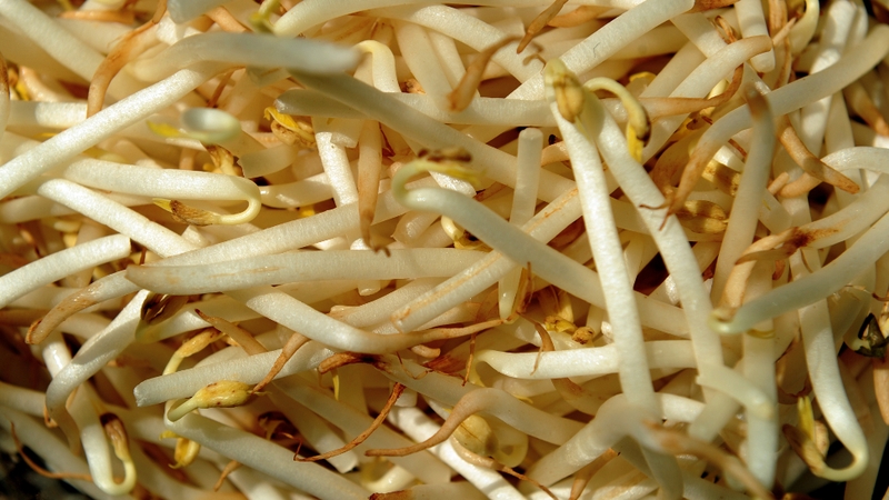 Beansprouts - FSAI warning not to be eaten raw