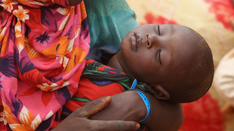 Famine - Trócaire praises response of Irish