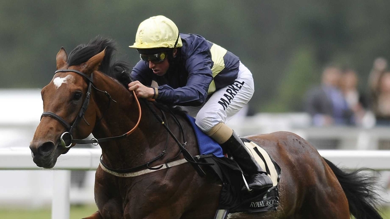 Nathaniel - the rapidly improving three-year-old won the King George in the hands of William Buick