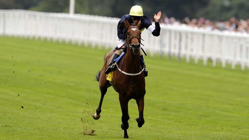King George winner Nathaniel looks set to miss the Arc in favour of the Champion Stakes