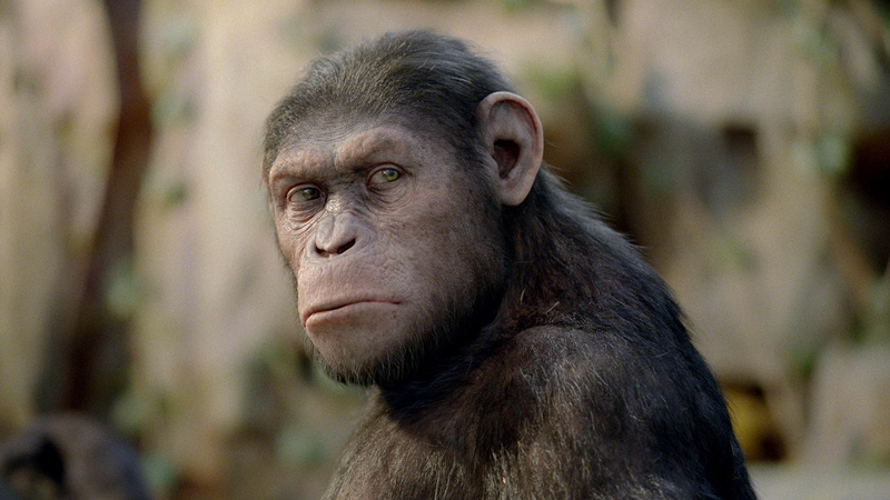 A cene from Rise of the Planet of the Apes