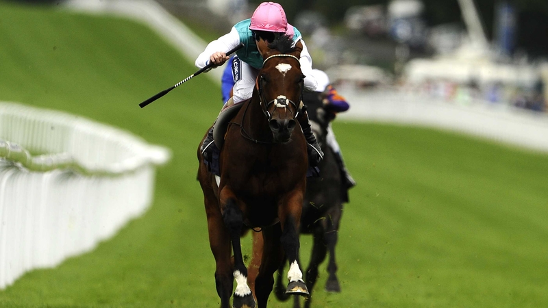 Frankel - Showed his class in the Sussex Stakes
