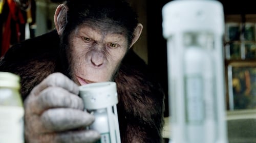 Serkis training